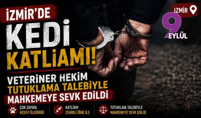 İzmir'de kedi katliamı! Veteriner hekim tutuklama talebiyle mahkemeye sevk edildi