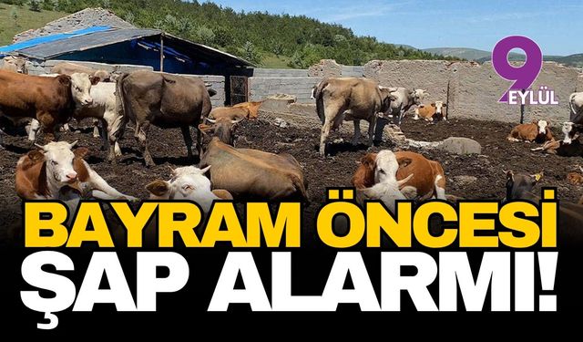 Bayram öncesi Aydın’da şap alarmı: 17 mahalle karantinaya alındı