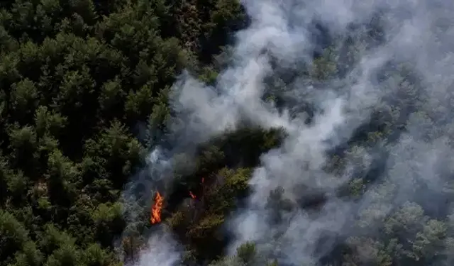 Manisa'da yangın kontrol altında