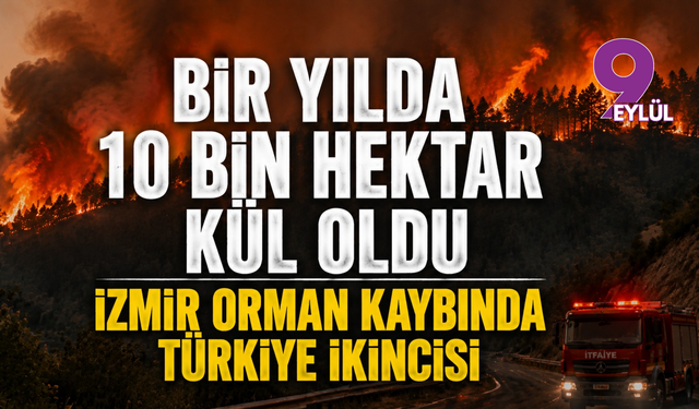 Ormanlar yok oluyor: İzmir’in acı gerçeği ortaya çıktı