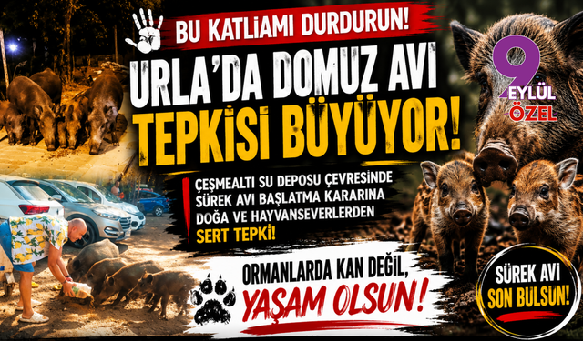 Bu katliamı durdurun