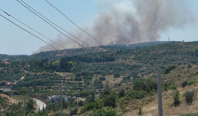 Çeşme’deki Yangın Kontrol Altına Alındı