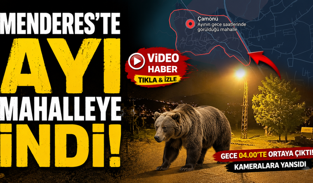 Menderes'te Gece Yarısı Sürprizi: Ayı Mahalleye İndi
