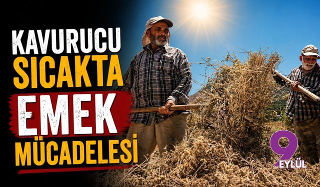 Kavurucu sıcakta emek mücadelesi