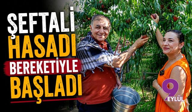 Selçuk'ta şeftali hasadı bereketiyle başladı