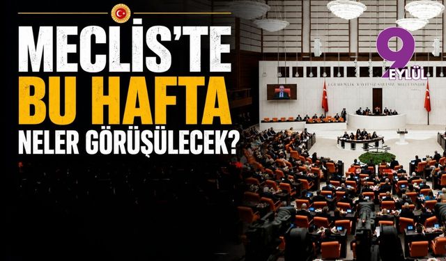 Meclis'te bu hafta neler görüşülecek?