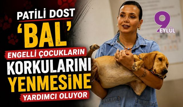 Patili dost 'Bal', engelli çocukların korkularını yenmesine yardımcı oluyor