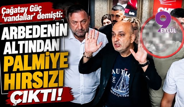 Çağatay Güç 'vandallar' demişti: arbedenin altından palmiye hırsızı çıktı!