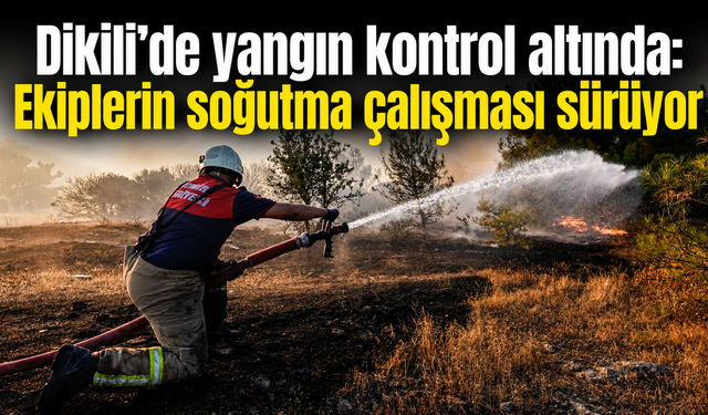 Dikili’de yangın kontrol altında: Ekiplerin soğutma çalışması sürüyor
