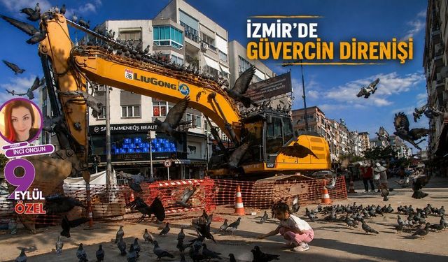 İzmir'de Güvercin Direnişi
