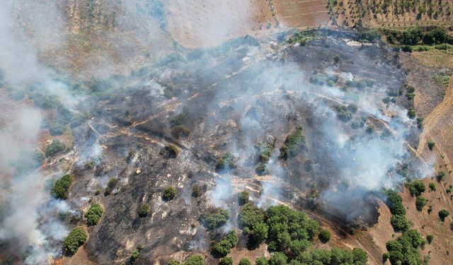 Manisa'da 15 dönüm alan küle döndü