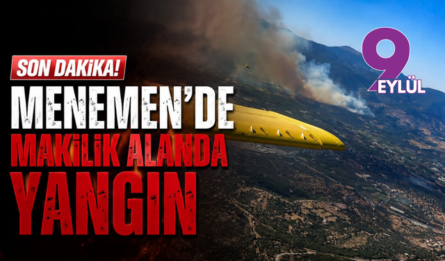 Menemen'de makilik alanda yangın