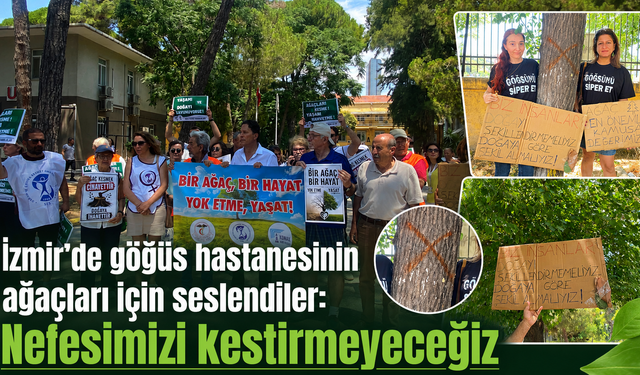 İzmir’de göğüs hastanesinin ağaçları için seslendiler: “Nefesimizi kestirmeyeceğiz”
