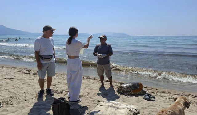 İzmir ve Aydın sahillerine 3 caretta caretta vurdu