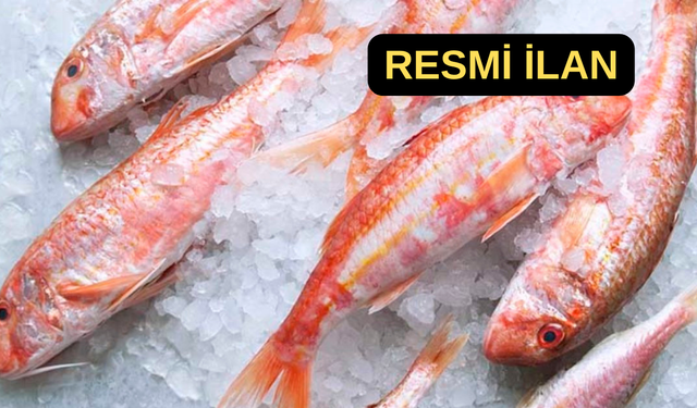 İzmir Büyükşehir Belediyesi barbun ağı satın alacak