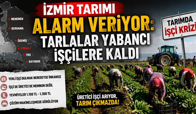 İzmir’de tarım Suriyeli işçilere emanet