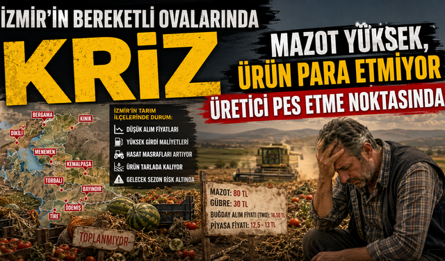İzmir'in Bereketli Ovalarında Alarm: Üretici Tarlasını Terk Etme Noktasında
