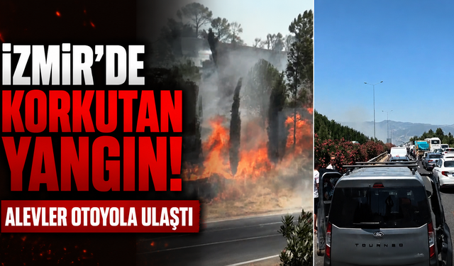 İzmir’de korkutan yangın: Alevler otoyola ulaştı