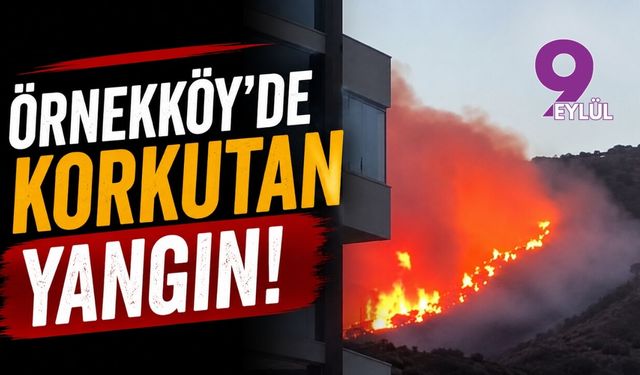 Örnekköy'de korkutan yangın!