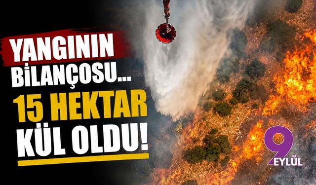 Yangının bilançosu... 15 hektar kül oldu!