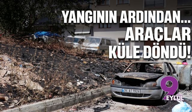 Yangının ardından... Araçlar küle döndü!
