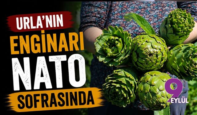 Urla'nın enginarı NATO sofrasında