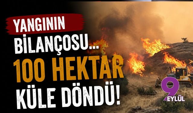 Aydın'da yangının bilançosu... 100 hekar küle döndü!