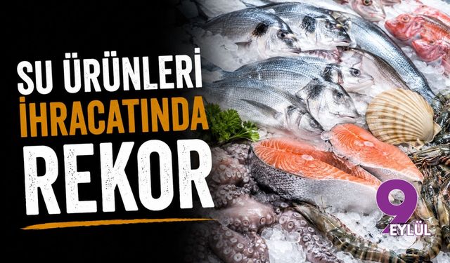 Denizden gelen rekor: Su ürünleri ihracatı ilk yarıda milyar dolar sınırını aştı