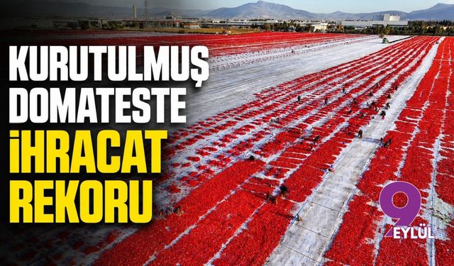 Kurutulmuş domateste ihracat rekoru