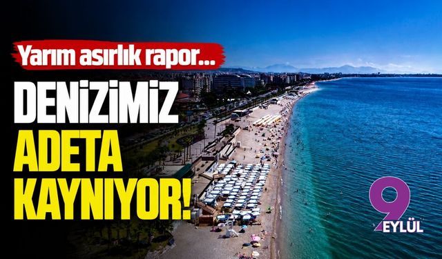 Yarım asırlık rapor... Denizimiz adeta kaynıyor!