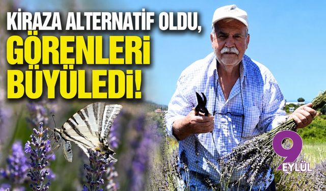 Kiraza alternatif oldu, görenleri büyüledi!
