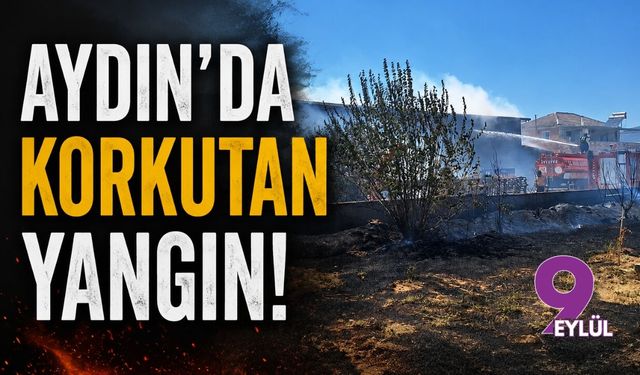 Aydın'da korkutan yangın!