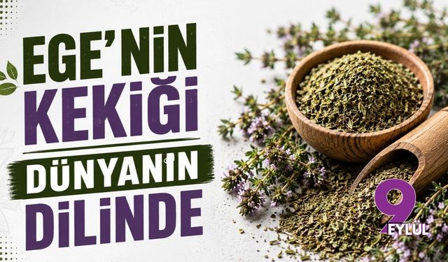 Ege'nin mobilya ve orman ürünleri ihracatında rekor