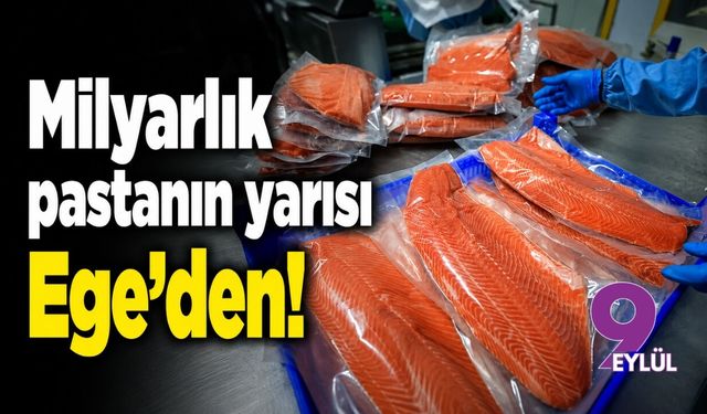 Milyarlık pastanın yarısı Ege'den