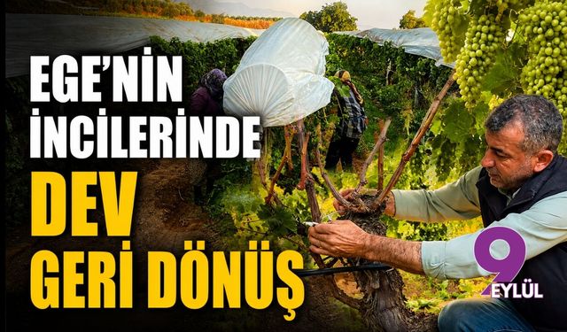Ege’nin incilerinde dev geri dönüş