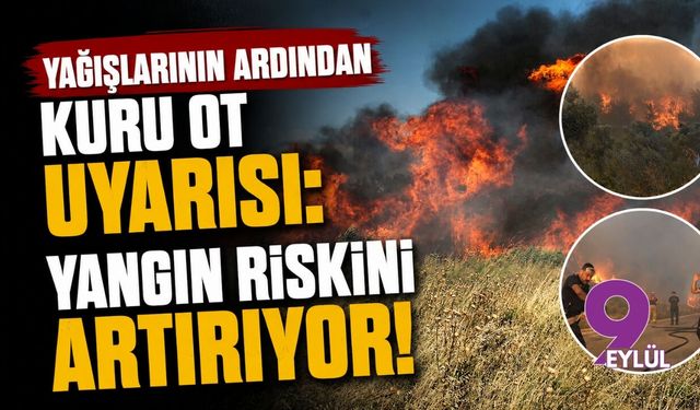 Yağışlarının ardından kuru ot uyarısı: Yangın riskini artırıyor!