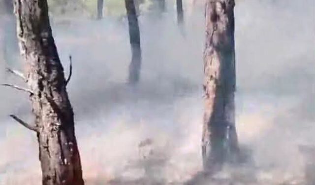 Kütahya’da orman yangını büyümeden söndürüldü