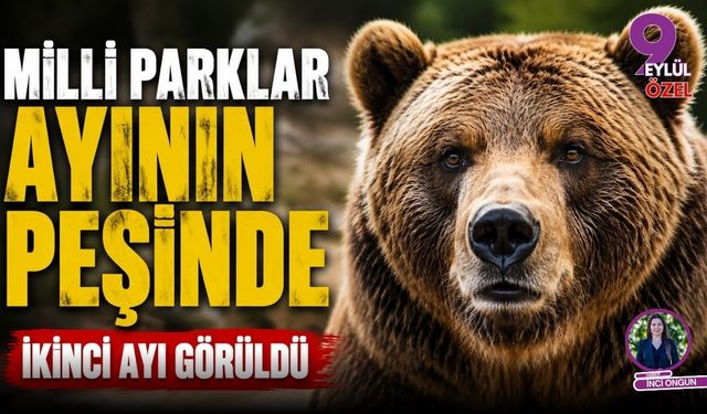 Milli Parklar Ayının Peşinde