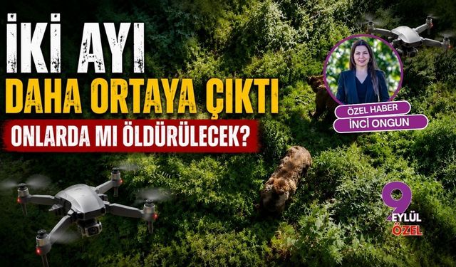 İki Ayı Daha Ortaya Çıktı Onlarda mı Öldürülecek?