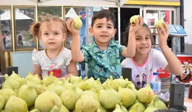 İzmir'de bardacık inciri festivali