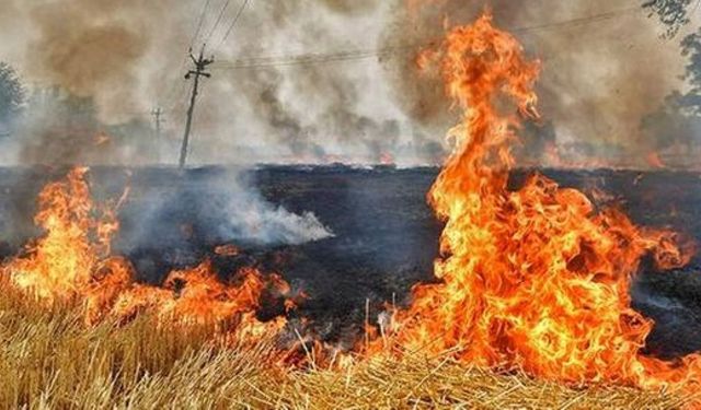 Torbalı’da anız alarmı