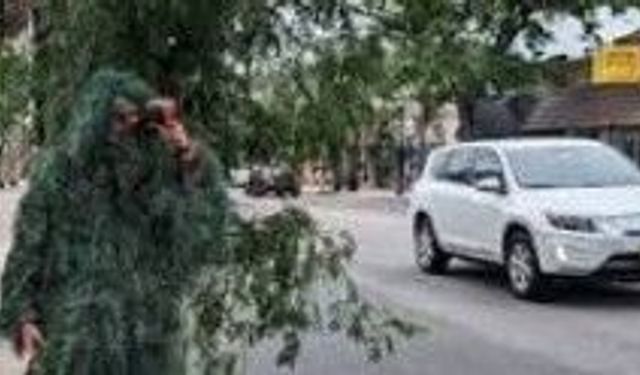 Çalı kılığındaki polisten ceza yağmuru