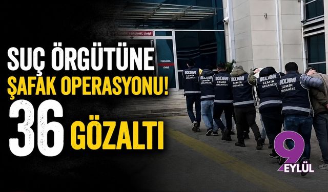 Suç örgütüne şafak operasyonu! 36 gözaltı
