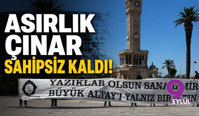 Asırlık çınar sahipsiz kaldı!