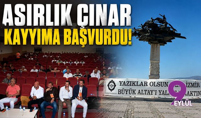Asırlık çınar kayyıma başvurdu!