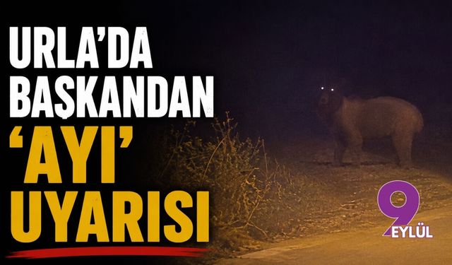Urla'da başkandan 'ayı' uyarısı