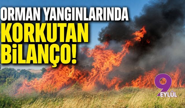 Orman yangınlarında korkutan bilanço!