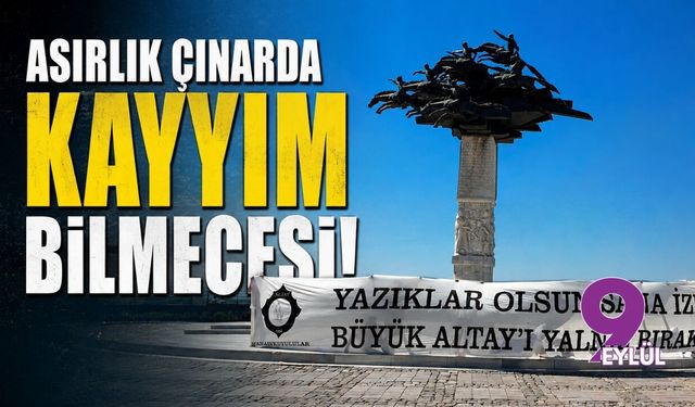 Asırlık çınarda kayyım bilmecesi!