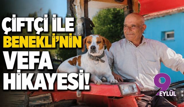 Çiftçi ile Benekli’nin vefa hikayesi!