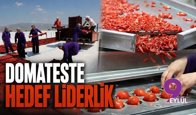 Domateste hedef liderlik